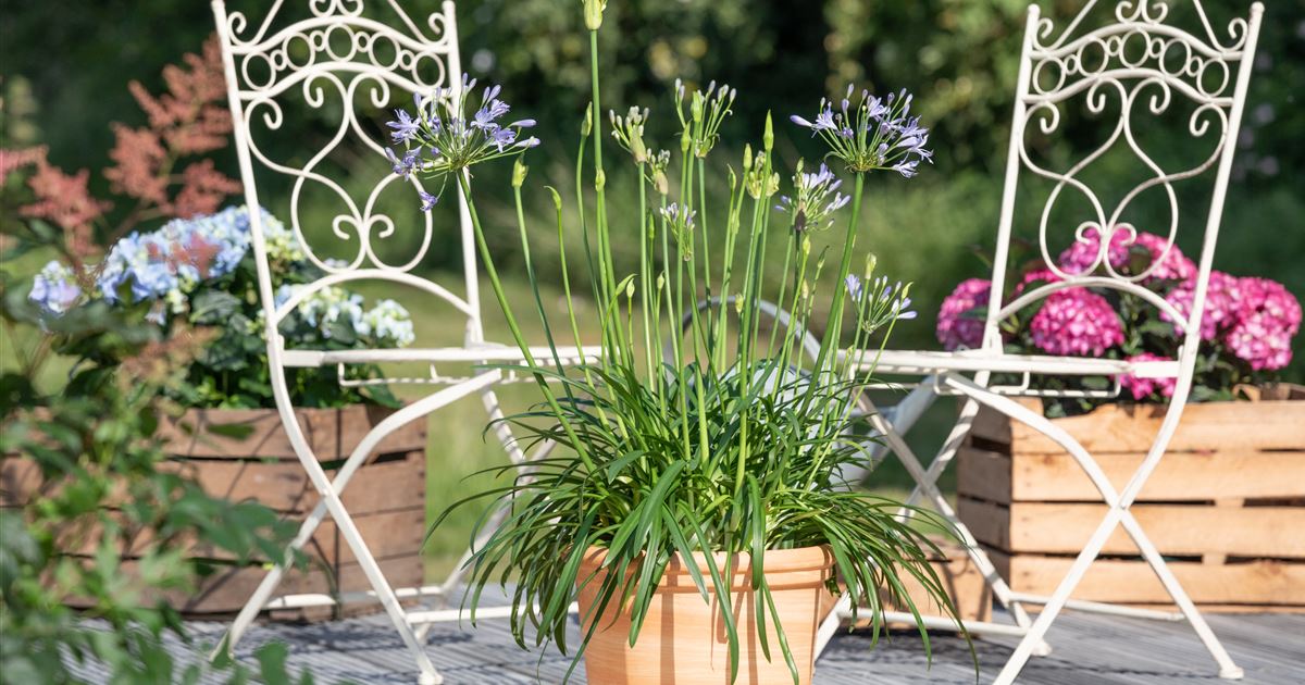 Gartenstühle für jeden Garten bequem, praktisch und