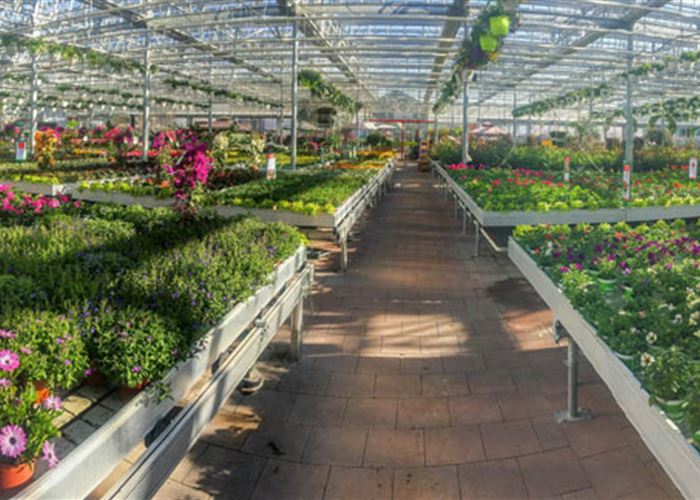 Mauk Gartenwelt in KarlsruheGrötzingen Pflanzen Mauk