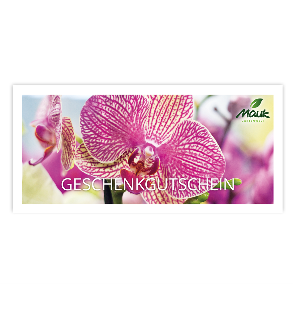 Print Home Gutschein Zum Drucken Mauk Gartenwelt