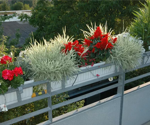 - Balkon umgestalten – Frischer Wind für die kleine Oase!  - Balkon umgestalten – Frischer Wind für die kleine Oase!