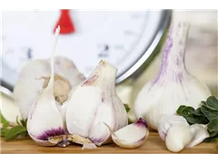 Allium sativum - Echter Knoblauch Allium sativum - Echter Knoblauch