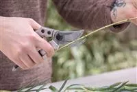 - Amboss oder Bypass? Die richtige Gartenschere auswählen  - Amboss oder Bypass? Die richtige Gartenschere auswählen