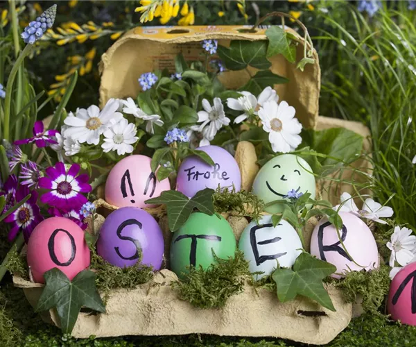 - Bunte Deko für Ostern – Darüber freut sich der Osterhase  - Bunte Deko für Ostern – Darüber freut sich der Osterhase