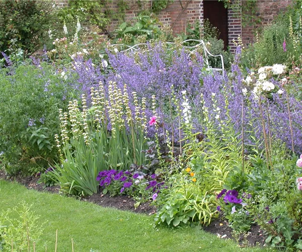 - Das Blumenbeet – Die schönsten Beetpflanzen für den Garten  - Das Blumenbeet – Die schönsten Beetpflanzen für den Garten