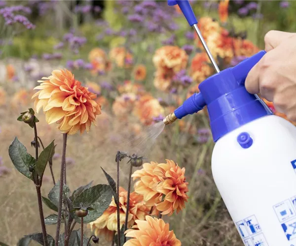- Nachhaltig und belebend – Bio-Dünger im Garten anwenden  - Nachhaltig und belebend – Bio-Dünger im Garten anwenden