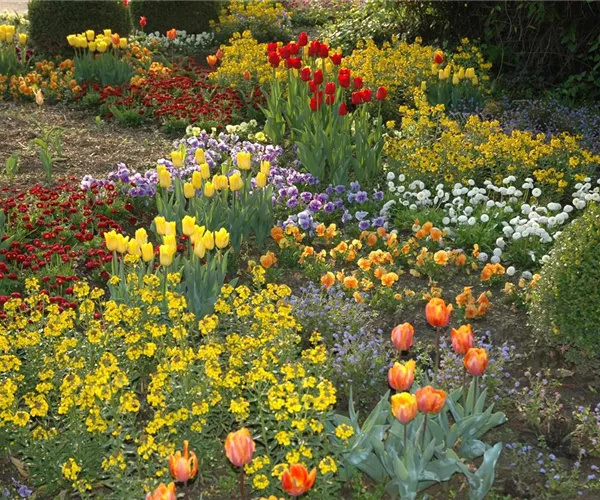 - So gelingt das ganze Jahr über ein blühender Garten!  - So gelingt das ganze Jahr über ein blühender Garten!