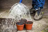 - Gartenbewässerung leicht gemacht – Tipps zum Thema Wasser  - Gartenbewässerung leicht gemacht – Tipps zum Thema Wasser