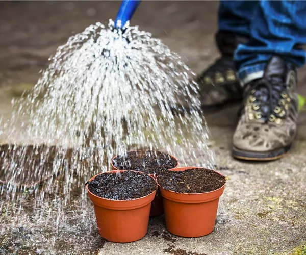 - Gartenbewässerung leicht gemacht – Tipps zum Thema Wasser  - Gartenbewässerung leicht gemacht – Tipps zum Thema Wasser