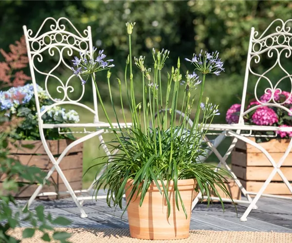 - Gartenstühle für jeden Garten – bequem, praktisch und schön  - Gartenstühle für jeden Garten – bequem, praktisch und schön