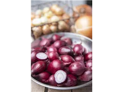 Allium cepa, rot - Rote Küchen-Zwiebel Allium cepa, rot - Rote Küchen-Zwiebel