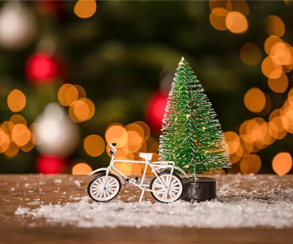 - Den Garten an Weihnachten in die richtige Stimmung bringen  - Den Garten an Weihnachten in die richtige Stimmung bringen