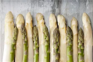 Asparagus officinalis - Gemüse-Spargel Asparagus officinalis - Gemüse-Spargel
