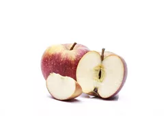 Malus domestica 'Boskoop' - Apfel 'Boskoop' Malus domestica 'Boskoop' - Apfel 'Boskoop'