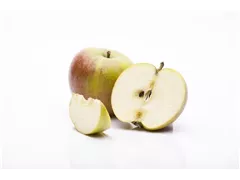 Malus domestica 'Cox Orange' - Apfel 'Cox Orange' Malus domestica 'Cox Orange' - Apfel 'Cox Orange'