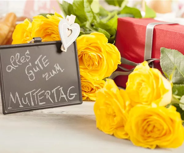 - Zum Muttertag nur das Beste – Der Mama eine Freude machen  - Zum Muttertag nur das Beste – Der Mama eine Freude machen