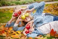 - Obstbäume richtig pflanzen und erfolgreich zurückschneiden  - Obstbäume richtig pflanzen und erfolgreich zurückschneiden