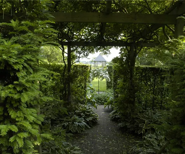 - Garten easy going – so wird der Garten pflegeleicht  - Garten easy going – so wird der Garten pflegeleicht