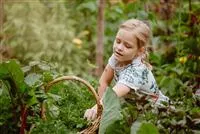 - Jetzt kann geerntet werden! Kinder spielerisch einbeziehen  - Jetzt kann geerntet werden! Kinder spielerisch einbeziehen