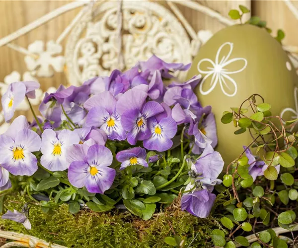 - Ein buntes Osterfest mit den passenden Frühlingsboten  - Ein buntes Osterfest mit den passenden Frühlingsboten