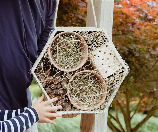 - Mit Insektenhotels Bienen und Co. durch den Winter helfen  - Mit Insektenhotels Bienen und Co. durch den Winter helfen